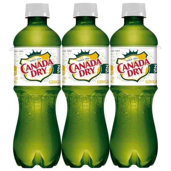 Canada Dry Zero Sugar Ginger Ale (6 ct, 16.9 floz )