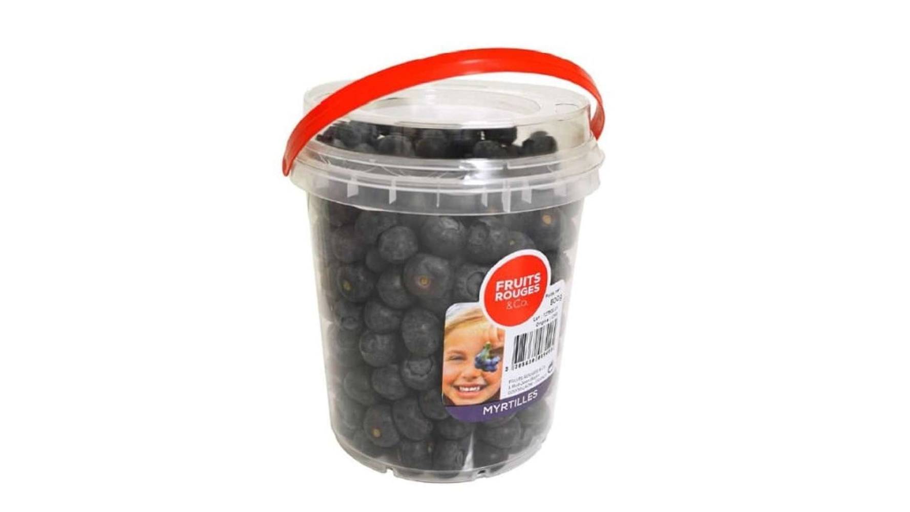 MYRTILLE Le seau de 500g