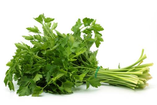 Organic Italian Parsley