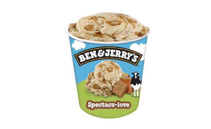 Ben & Jerry's Spectaculove 465mL