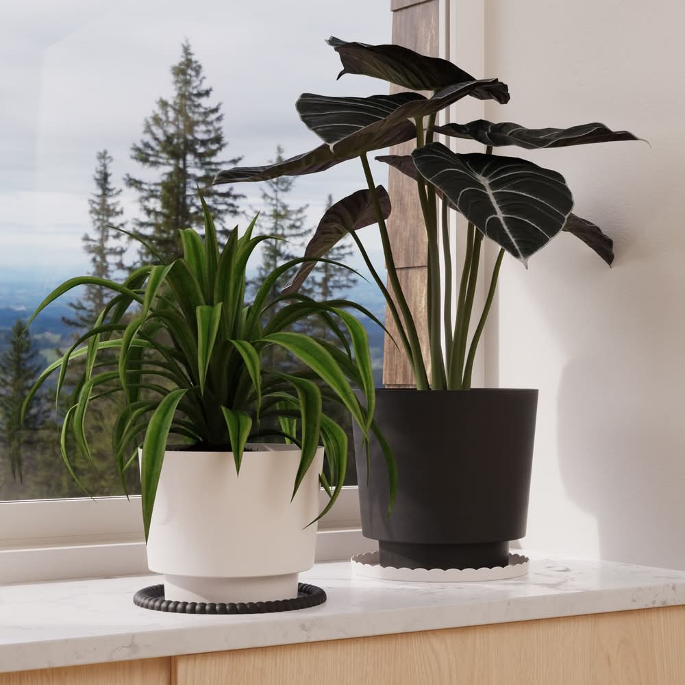 Bloem Plastic Indoor Outdoor Planter Delivery Near Me | Order Online | Uber  Eats