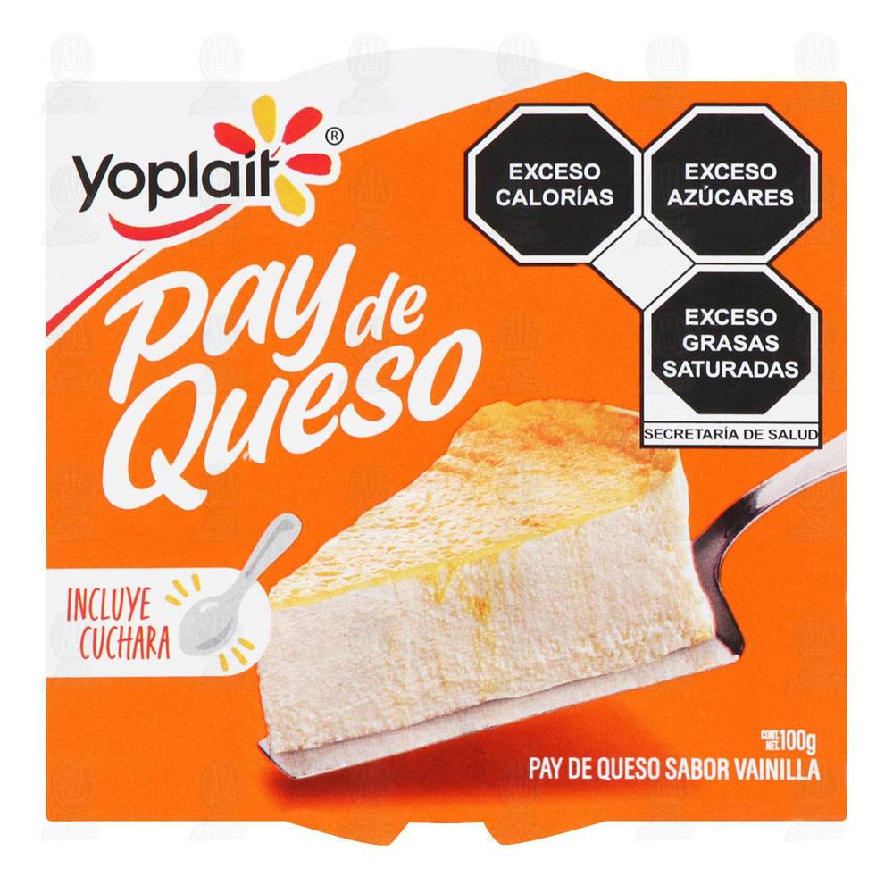 Yoplait · Pay de queso (100 g)