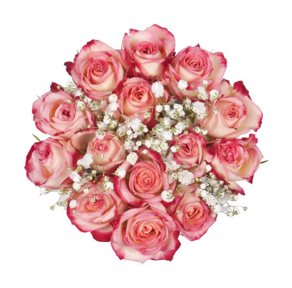 Bloom Haus Novelty Spray Rose Fresh Flower Bouquet