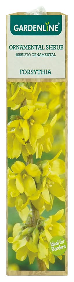 Gardenline Ornamental Shrub