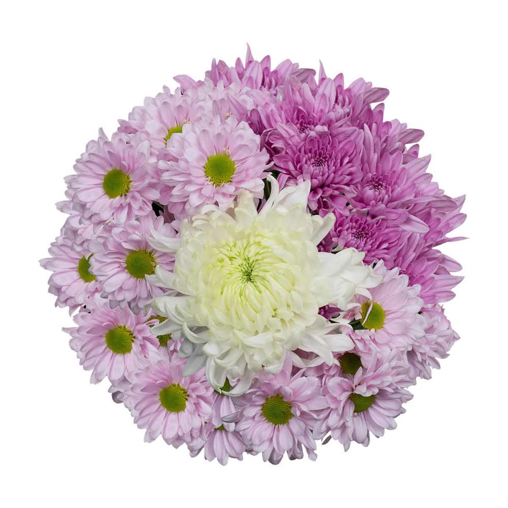 Mother’s Day Fresh Cut Flower Bouquet, 5.5 in, Assorted Colors