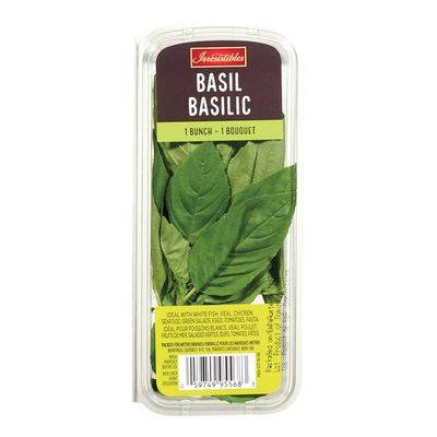 Irresistibles basilic - basil