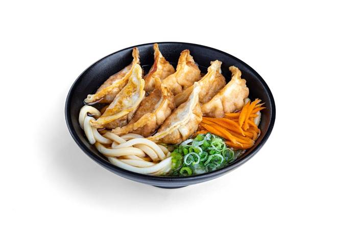 (p-15) Chicken Gyoza Udon