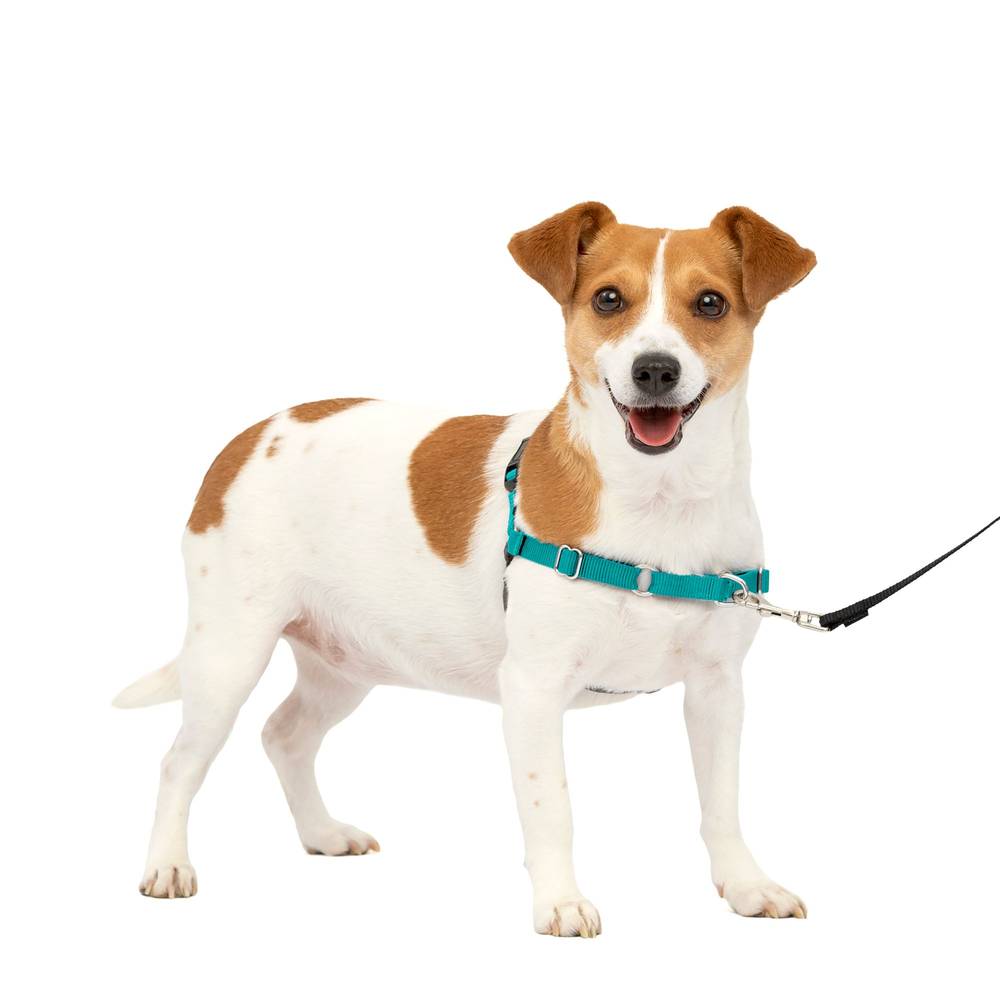 PetSafe® Easy Walk® Harness, No Pull Dog Harness (Color: Blue, Size: Small)