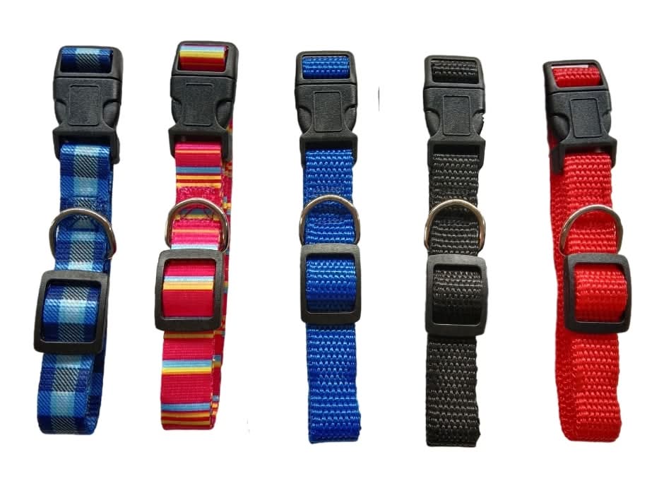 Family Pet Adjustable Fashion Dog Collars, Assorted (5 ct)