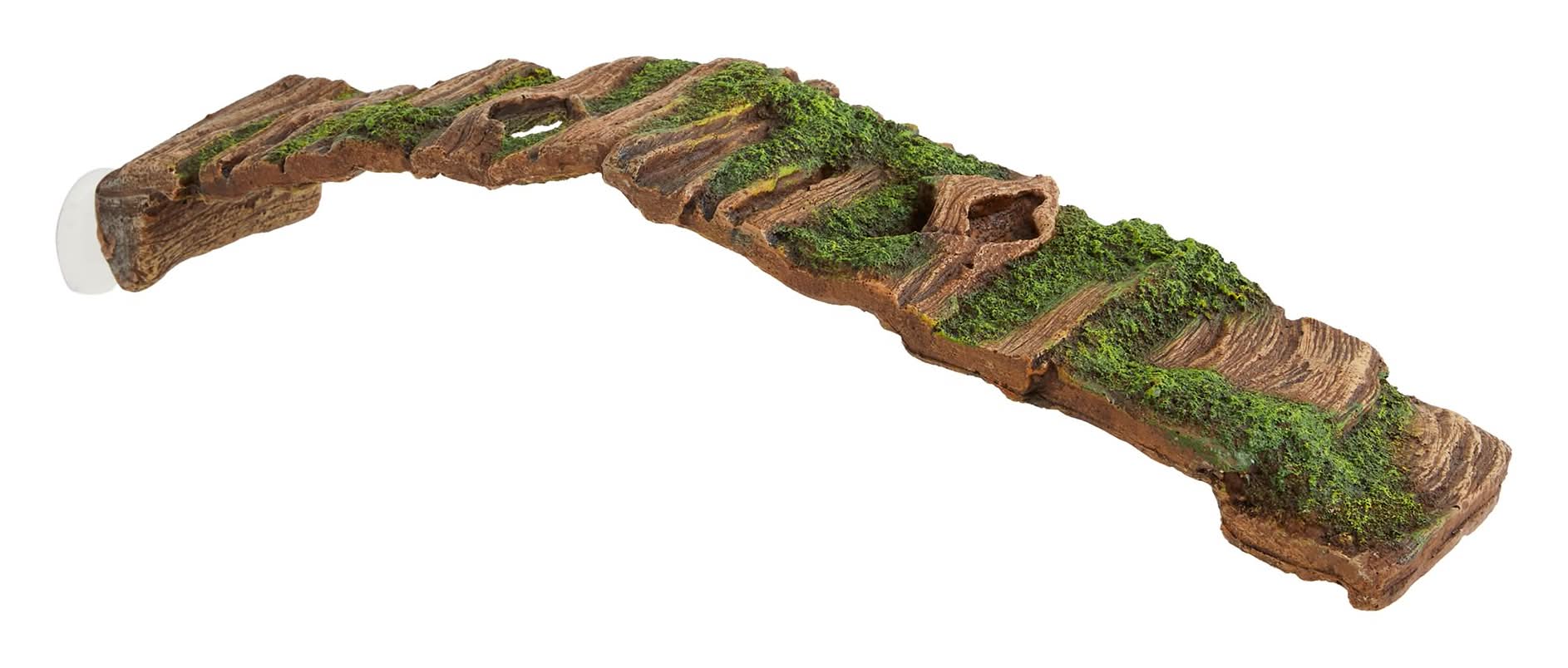 Thrive Hollow Wood Reptile Ramp