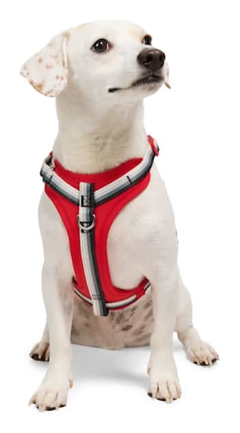 YOULY Comfort Neoprene Dog Harness, Red, Medium