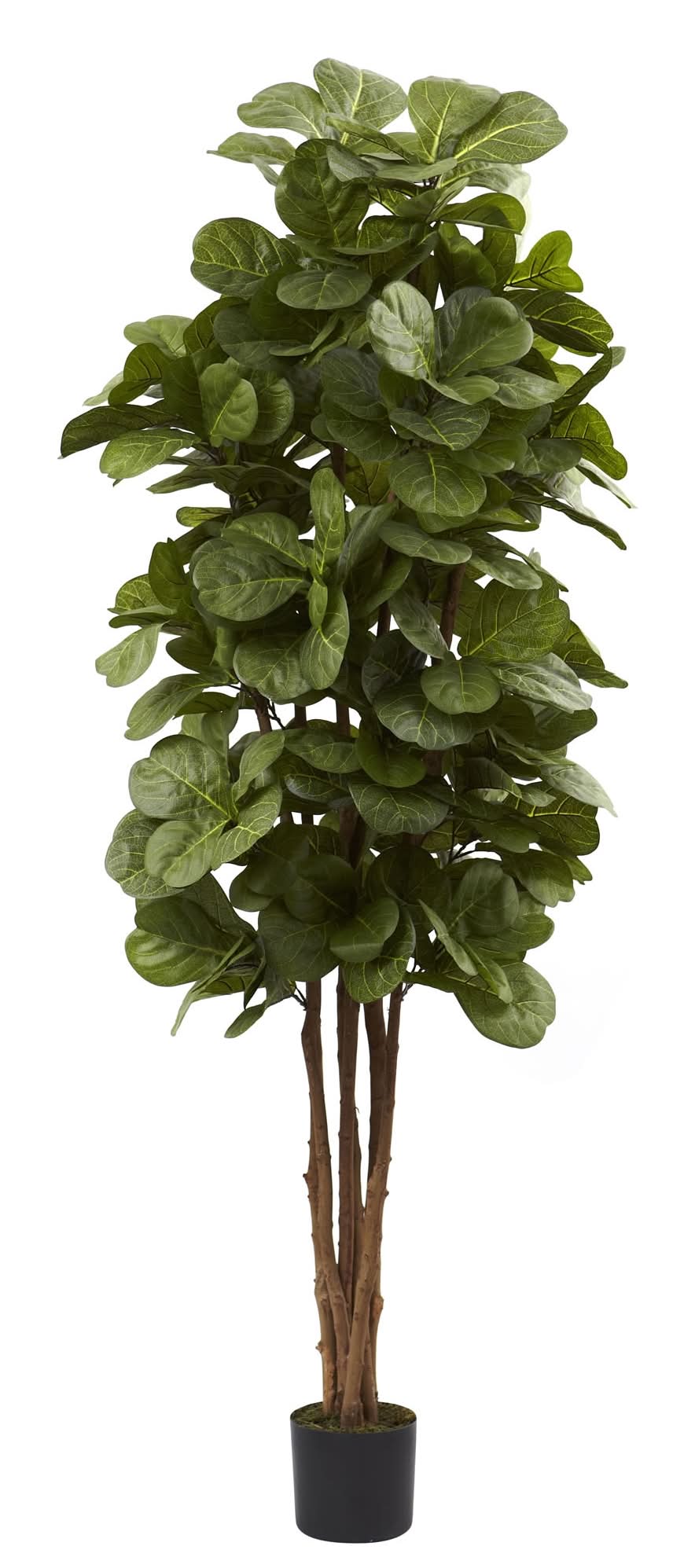 allen + roth 72-in Green Indoor Floor Fiddle Leaf Artificial tree