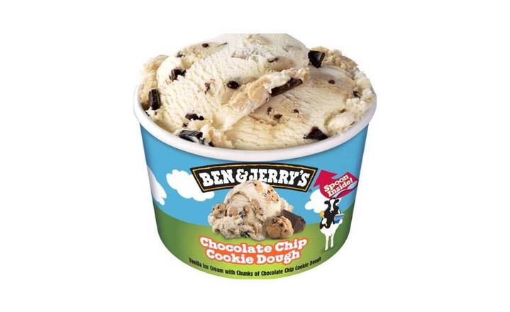 Ben & Jerry's Choc Chip Cookie 100mL