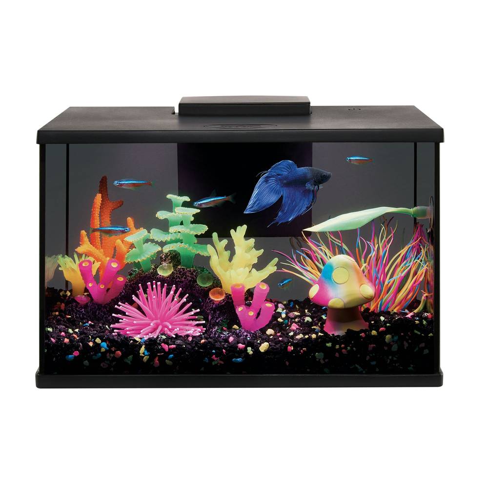 Top Fin® LED Black Glass Aquarium (Size: 3 Gal)