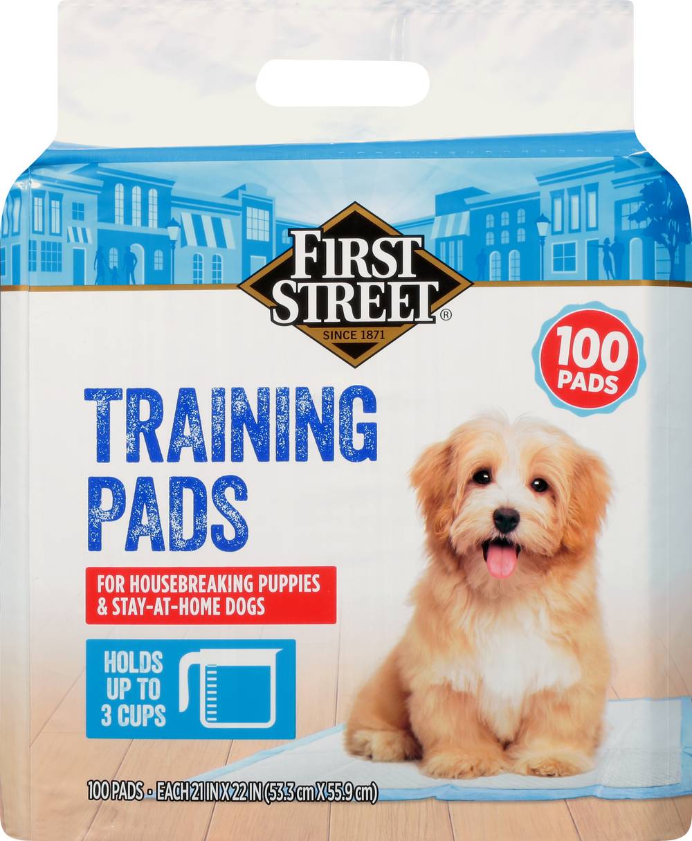 First Street Training Pads, 21x22 in (100 ct)