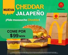 McDonald's Avenida Vallarta