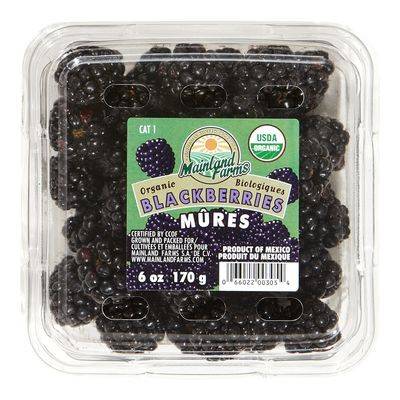 Organic Blackberries (170 g)