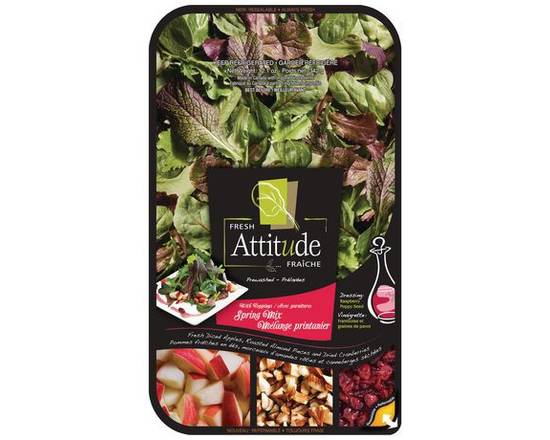 Fresh Attitude · Mélange de salade printanière avec garnitures (342 g) - Spring salad mix with toppings (342 g)