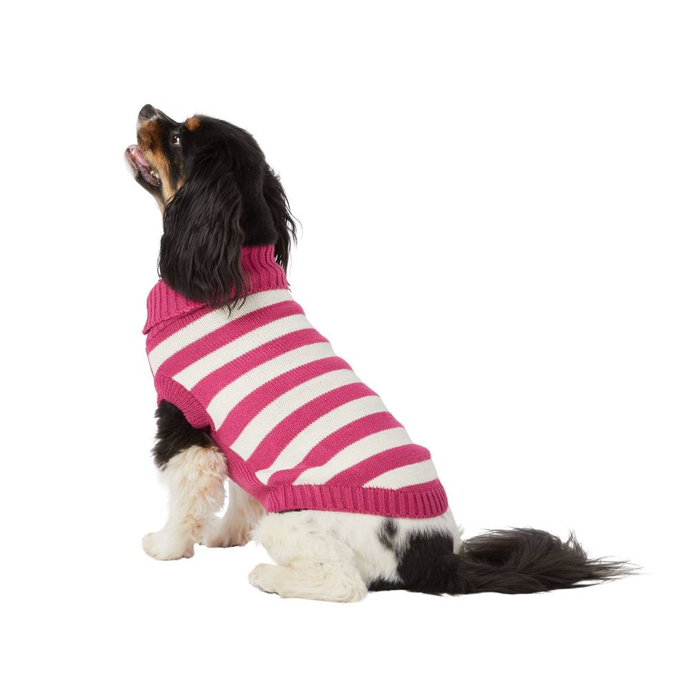 Top Paw® Value Striped Dog Sweater (Color: Maroon, Size: X Large)