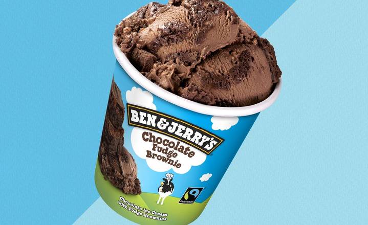 Ben & Jerry’s Chocolate Fudge Brownie Ice Cream Pint 458ml