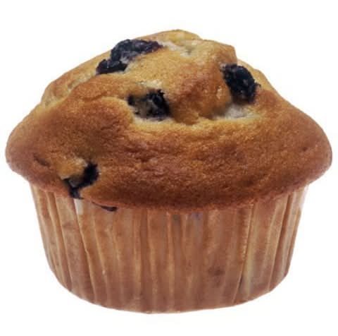 Wild Blueberry Muffin