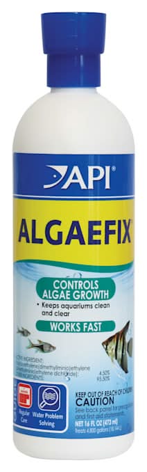 API Algaefix Algae Control (16 fl oz)