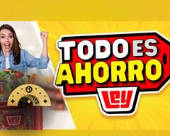 Ley Express Orizaba 🛒