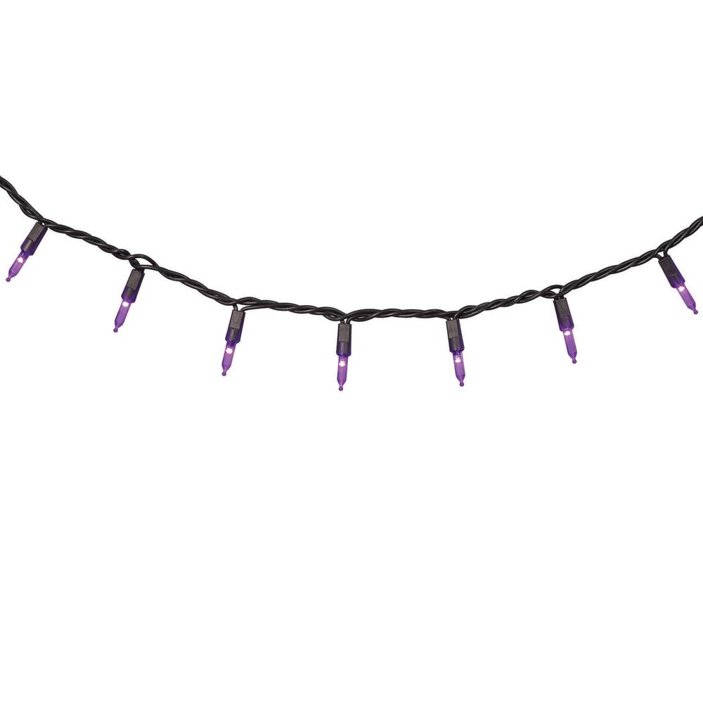 Haunted Living 300-Count LED Purple Halloween Lights | ES55-076