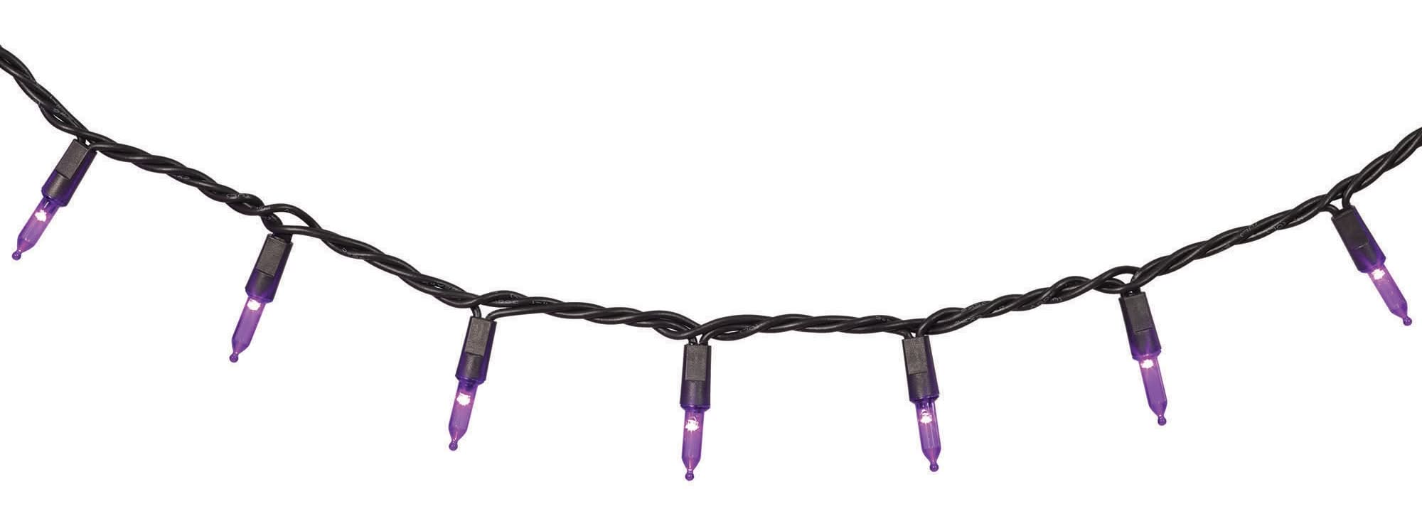 Haunted Living 100-Count 20-ft LED Purple Halloween String Lights