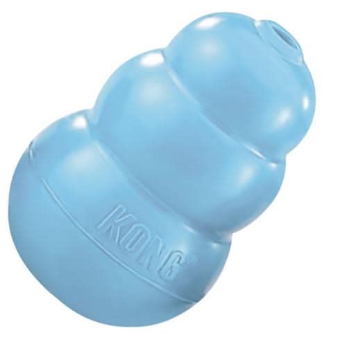 KONG L, Blue, Puppy Toy