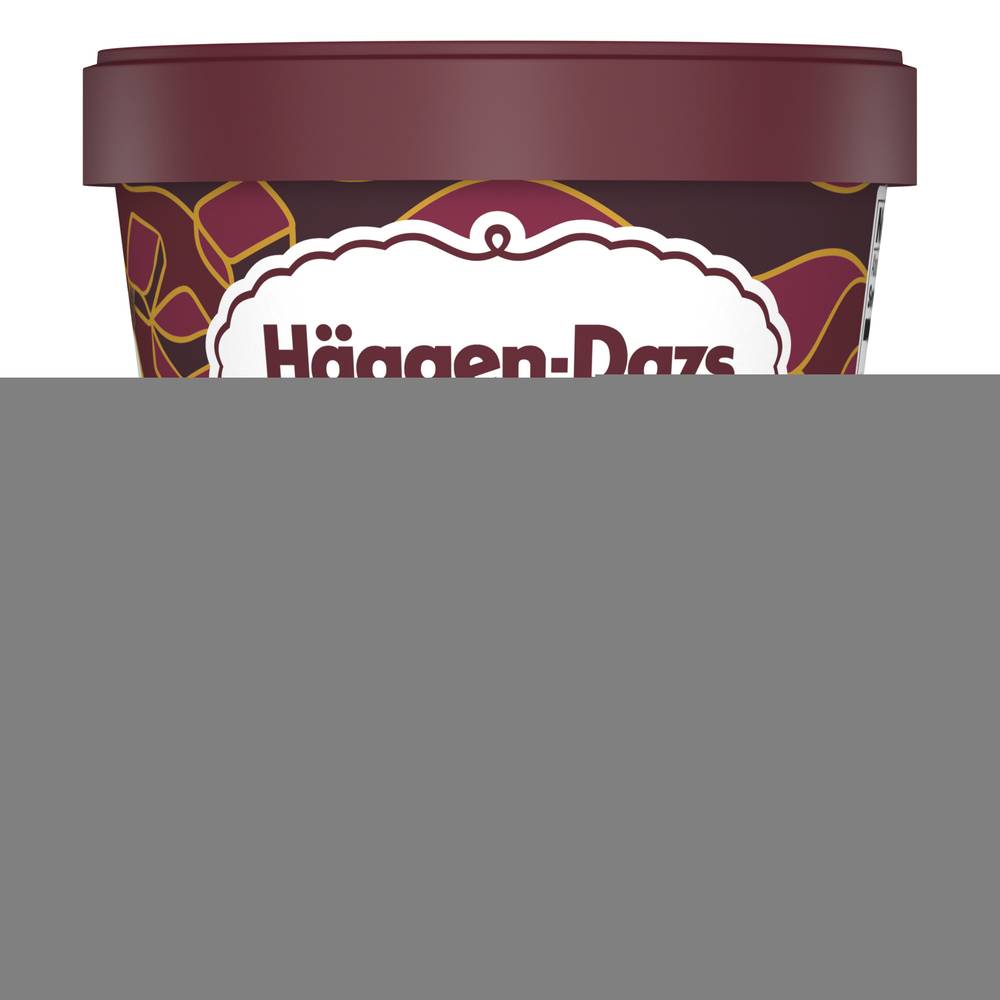 Häagen-Dazs Chocolate Chip Ice Cream (14 fl oz)