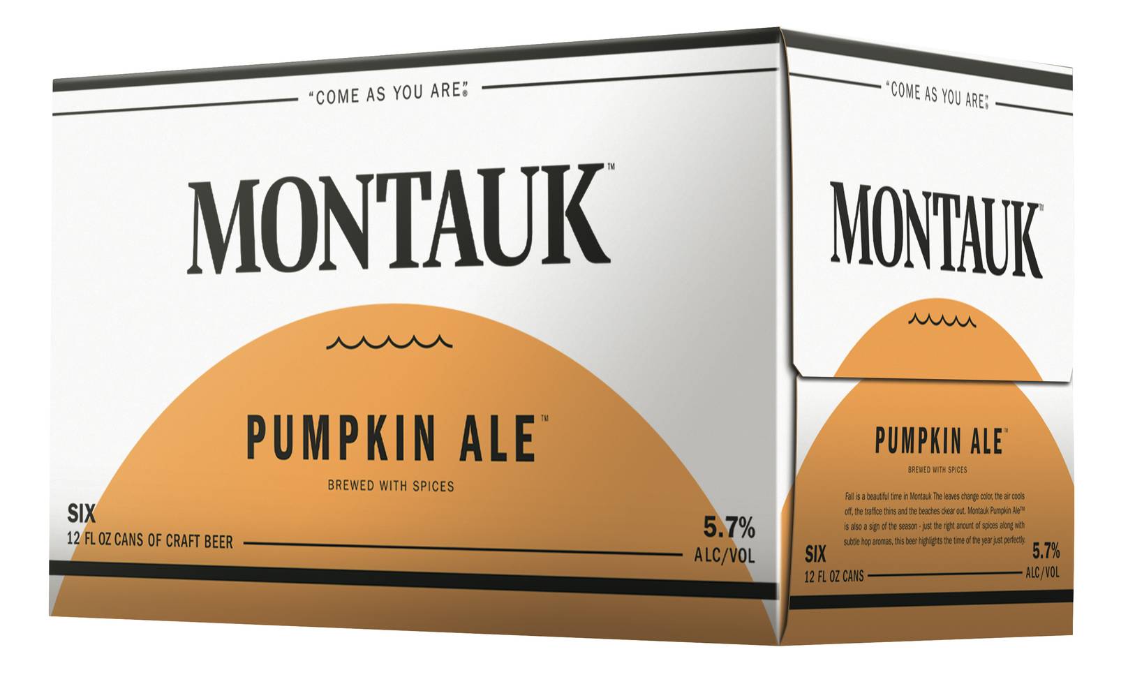 Montauk Watermelon Session Ale Craft Beer (6 ct, 12 fl oz)