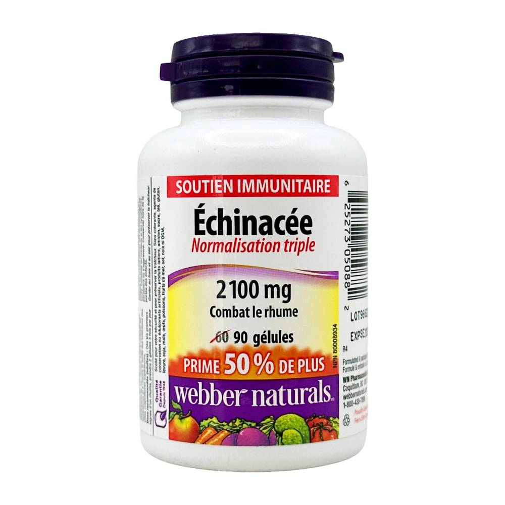 Webber Naturals Echinacea Triple Standardized Softgels 2100 mg (90 ct)