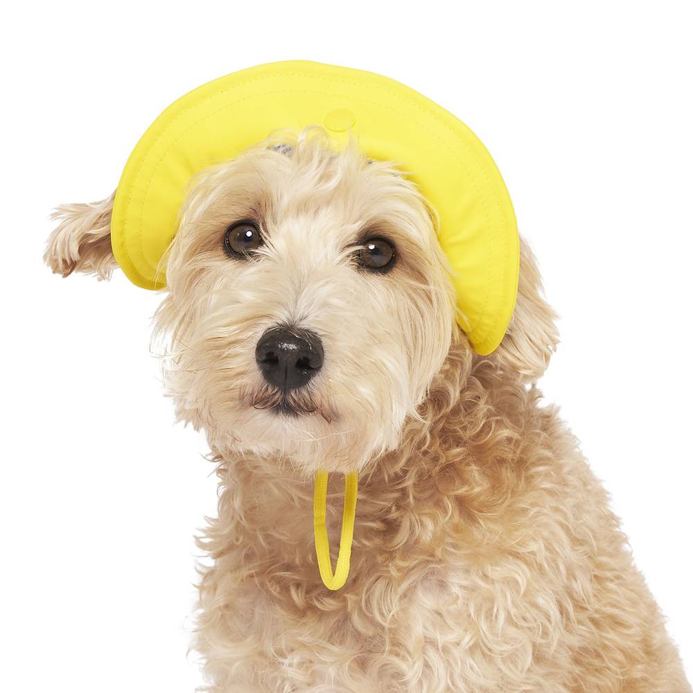 Canada Pooch Torrential Tracker Dog Hat - Yellow (Size: Medium)