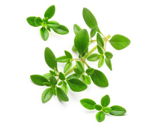 Thyme (1 ct)