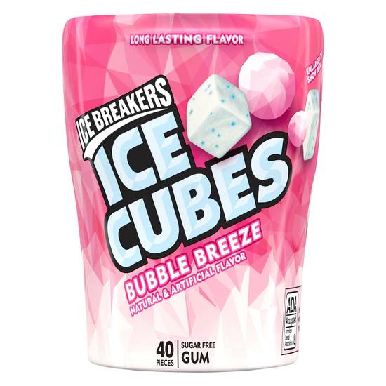 Ice Breakers Bubble Freeze Ice Cubes Kiwi Watermelon Gum (40 ct)