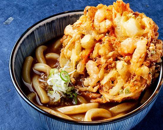 さぬき かき揚げカレーうどん Sanuki Udon Noodle Soup with Mixed Tempura