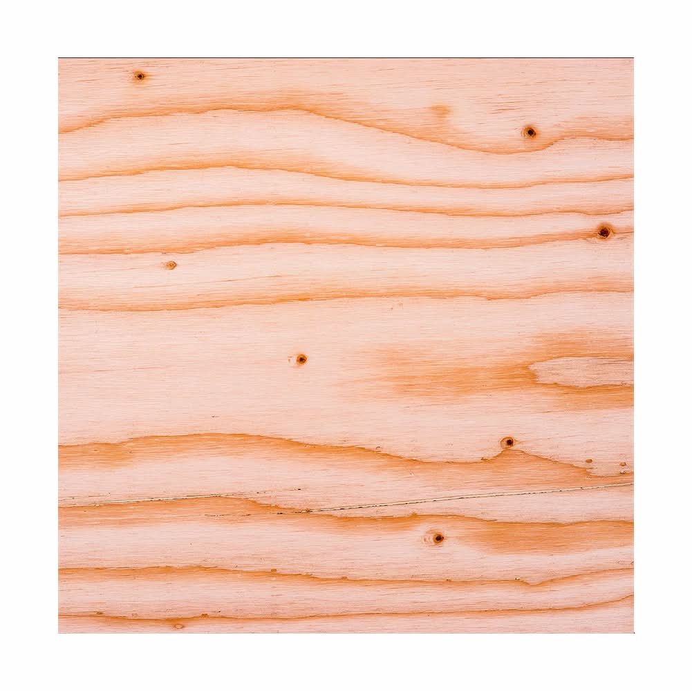 23/32-in x 4-ft x 4-ft Pine Sanded Plywood | 100240