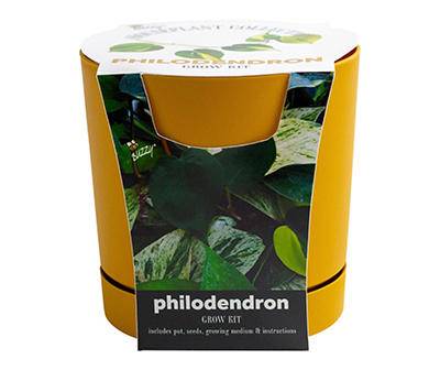 Buzzy Philodendron Houseplant Grow Kit