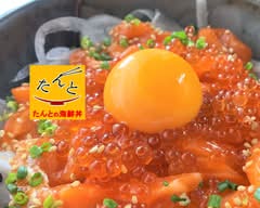 サーモン ねぎとろ 海鮮丼 渋谷たんと