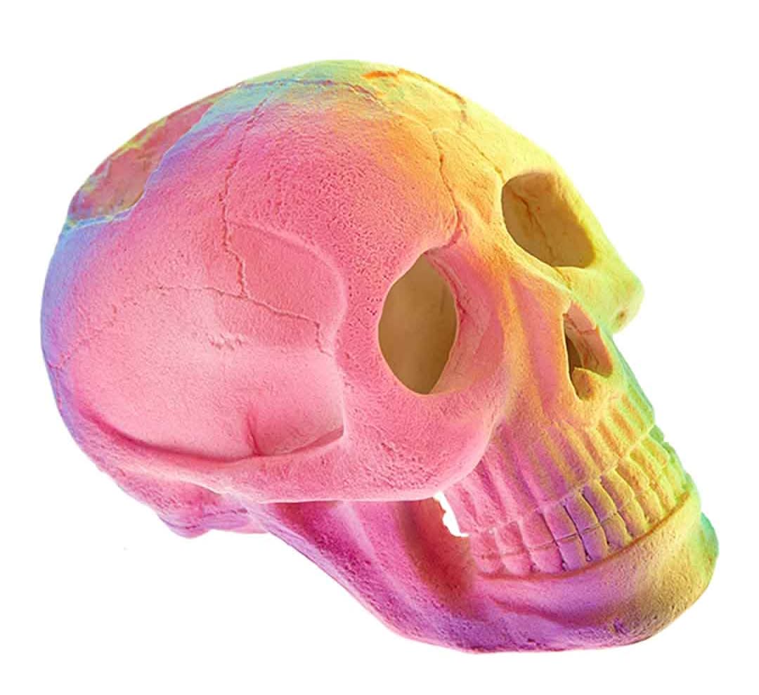 Classic 6x9.2x6.5 cm, Fluorescent Skeleton Aquarium Accessory