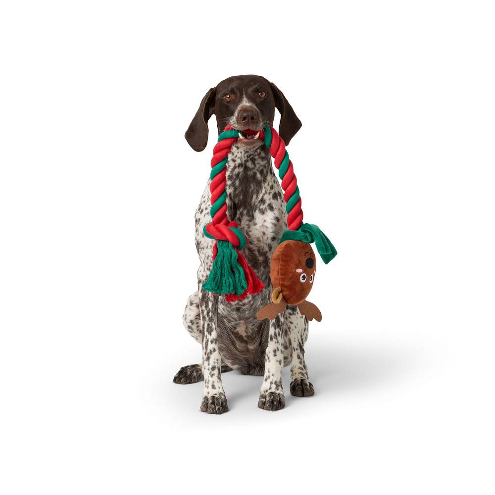 Merry & Bright Reindeer Rope Dog Toy, Red