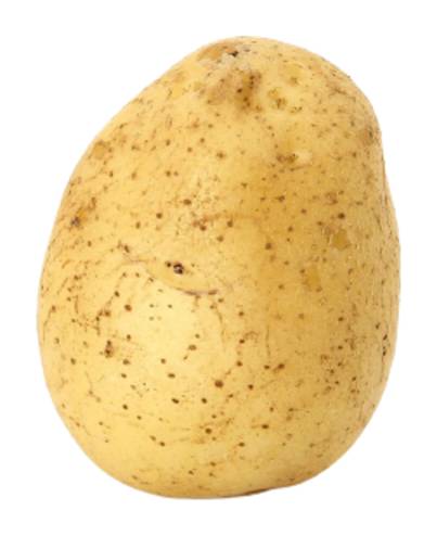 Pomme de terre jaune