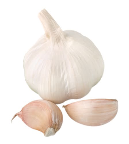 Garlic