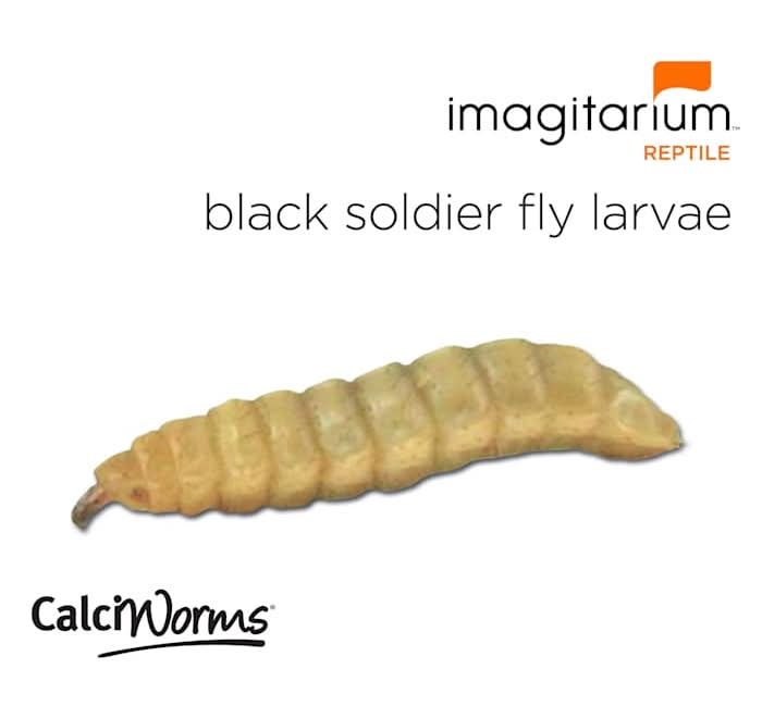 Imagitarium Calciworms Reptile & Amphibian Food (25 ct)