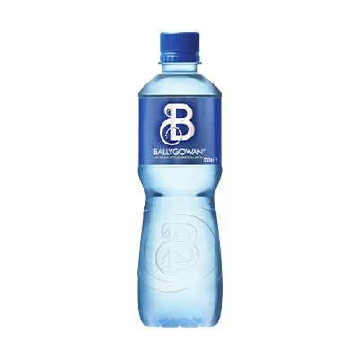 Water Bottle 500ml
