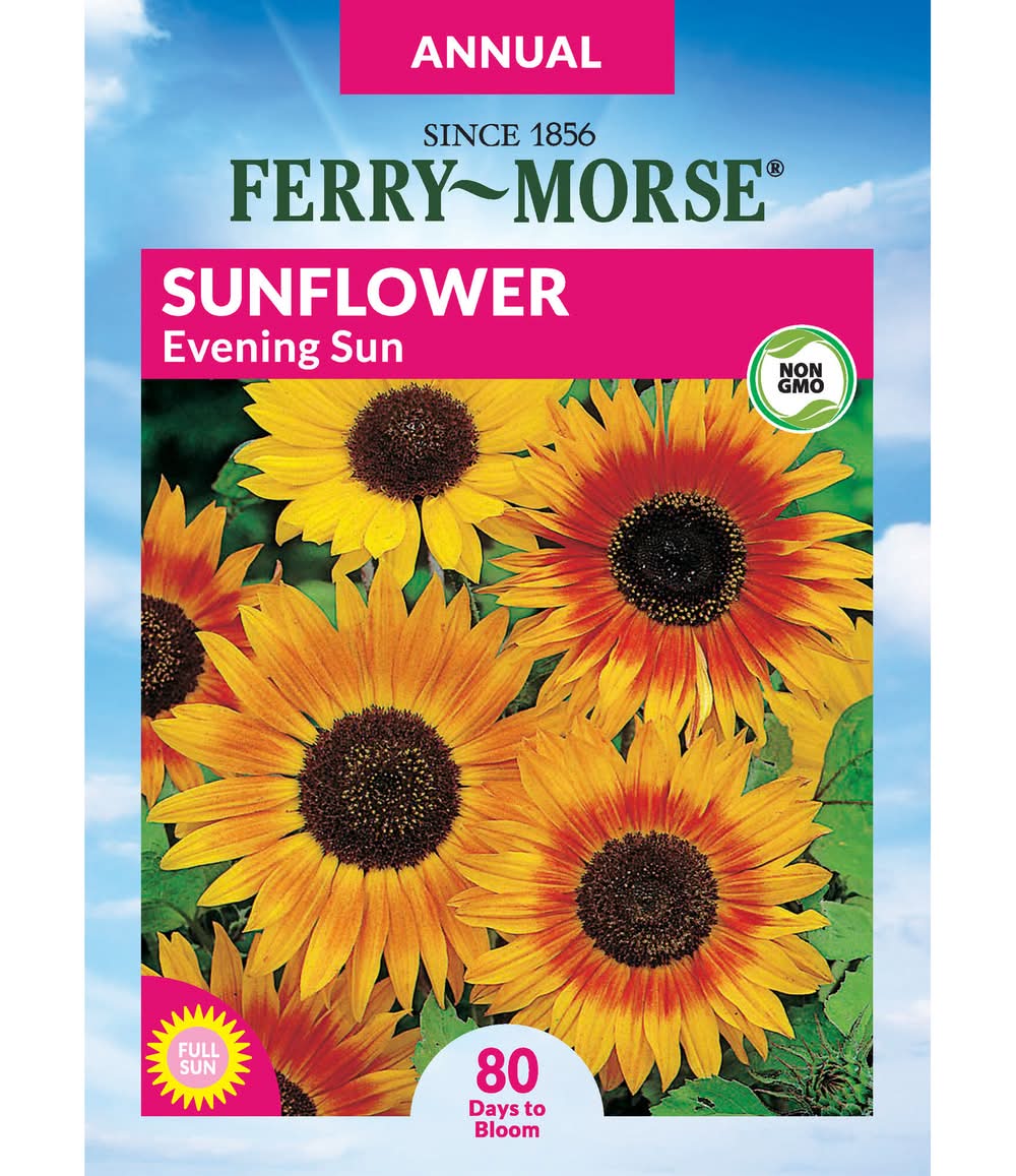 Ferry-Morse Sunflower Seeds 40 Count