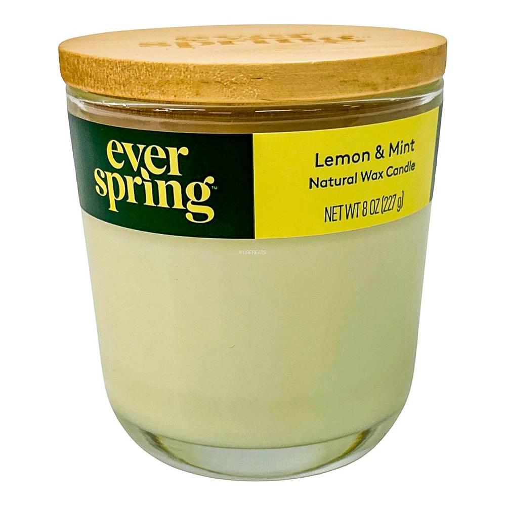 Everspring 100% Soy Wax Candle (lemon-mint)