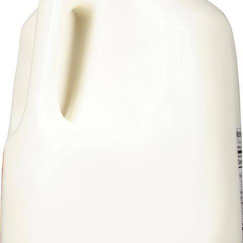 Whole Milk 1 Gallon