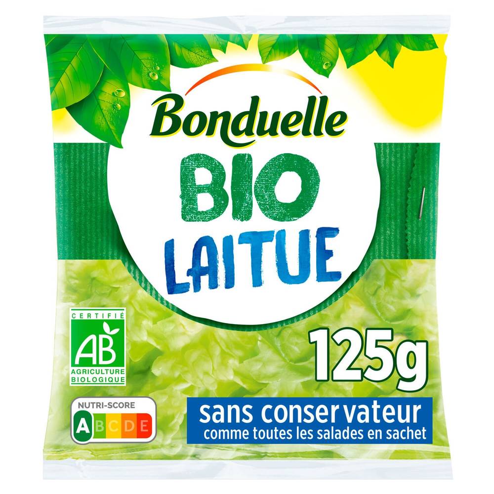 Bonduelle - Salade bio laitue sans conservateurs